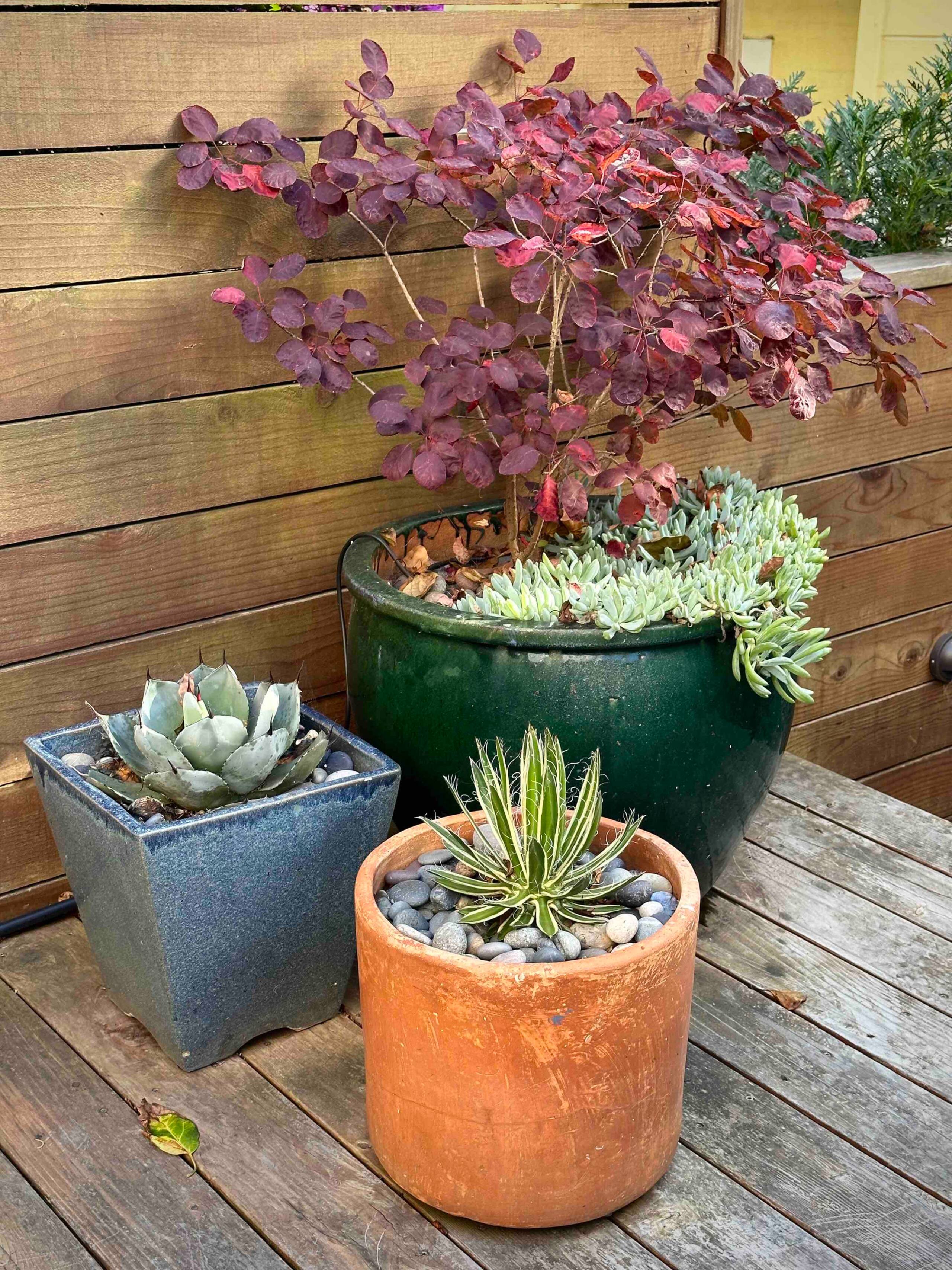 Home in San Francisco · ★4.95 · 3 bedrooms · 3 beds · 1.5 baths - Image 18