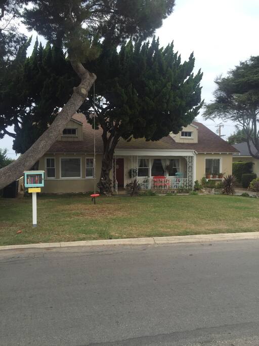 Front of House with Tree Swing and Little Library