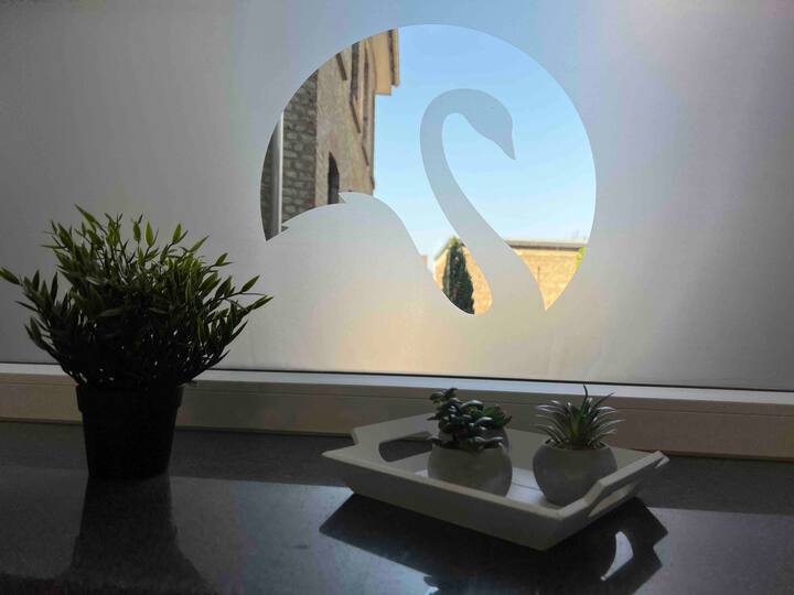 Лебедот 1 ве пречекува срдечно