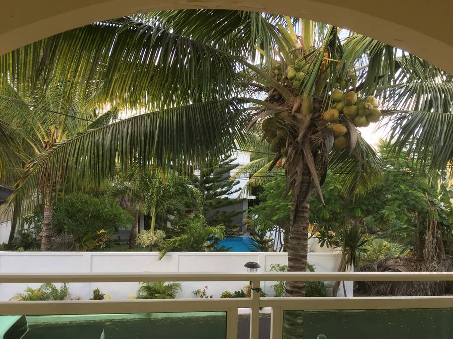 View from balcony
