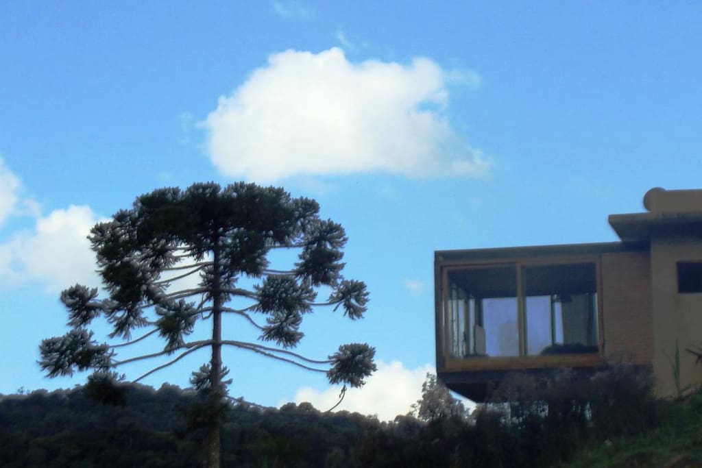 Vista Lateral da Casa