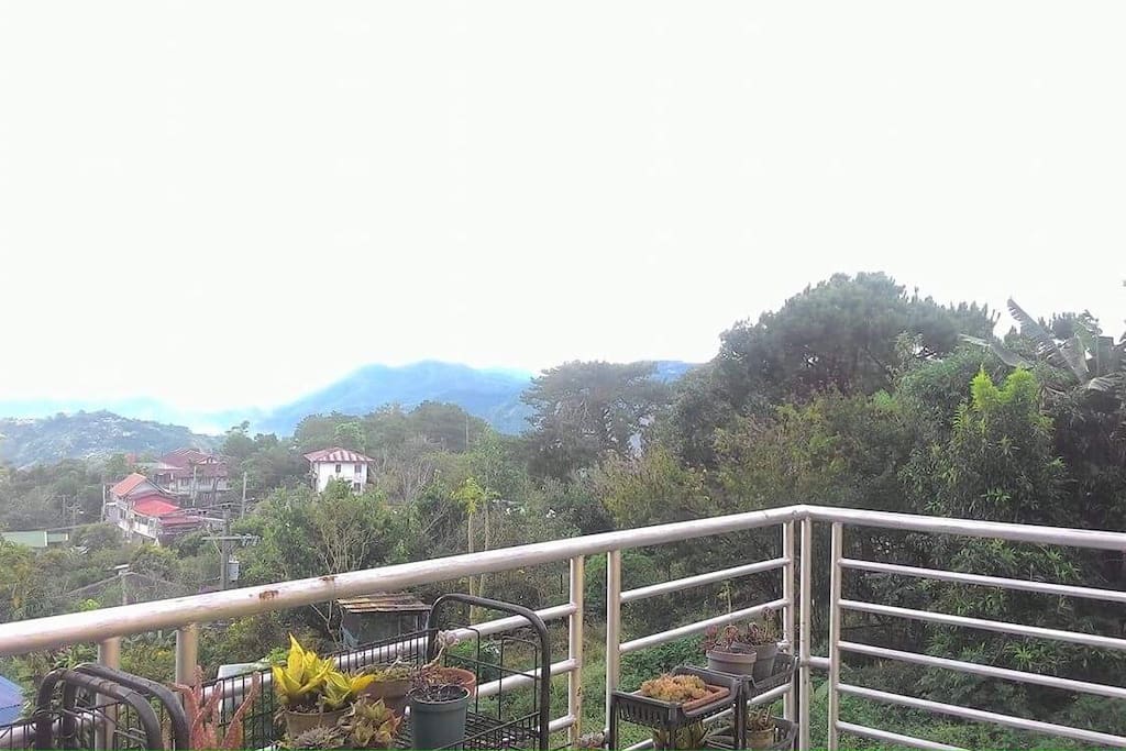 View from the terrace