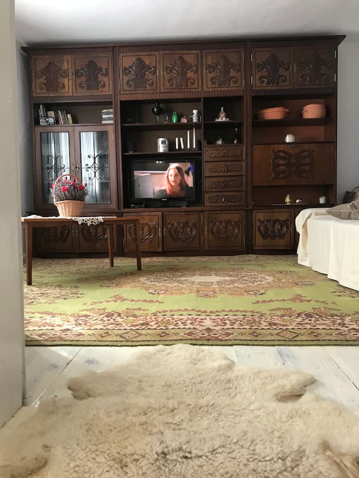 Salón s rozkladacou pohovkou 