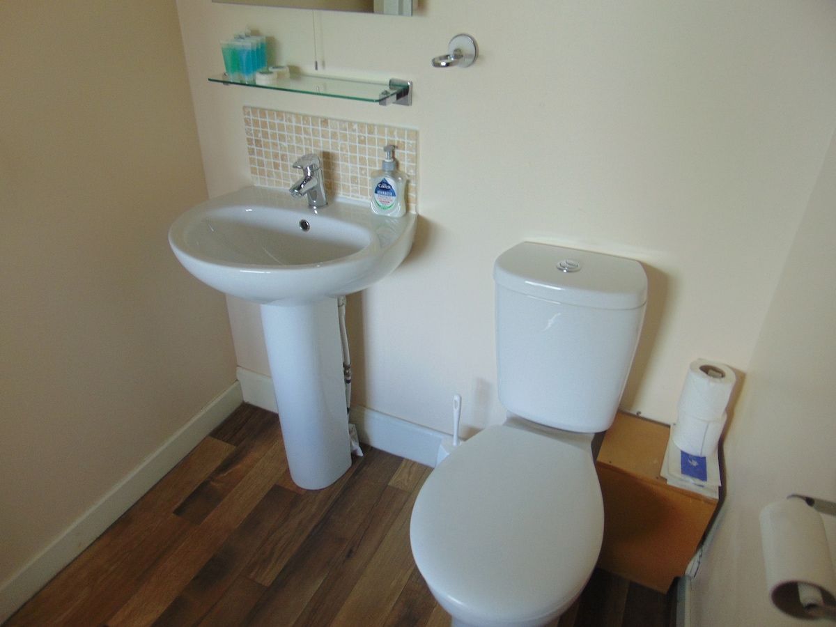 The bathroom features a modern toilet and a wall-mounted sink with a sleek faucet. A mirror above the sink reflects the light, while a small shelf holds toiletries. The floor is finished with wooden planks, contributing to a clean and simple design.