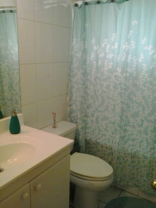 Baño N°1 de dormitorio matrimonial.