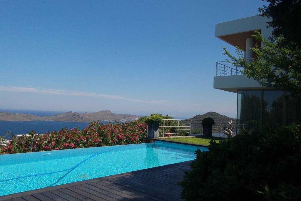 view