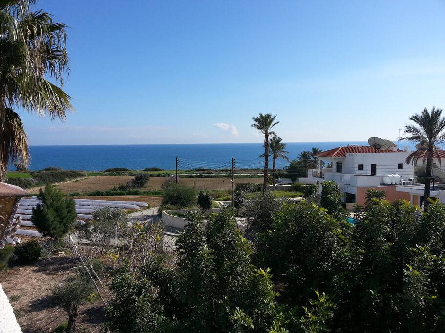 View from the roof