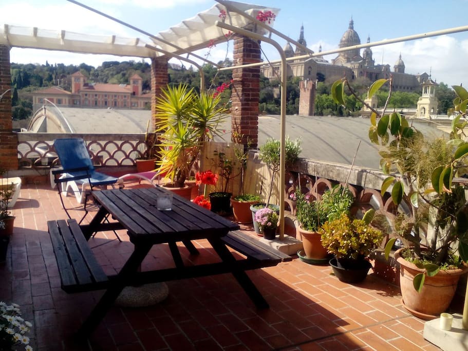 Relaxing terrace