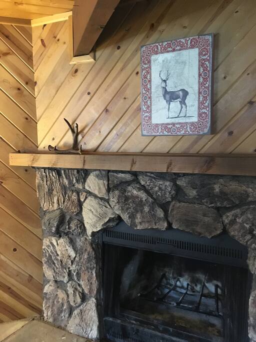 Wood burning fireplace!