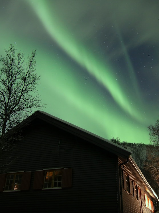 Show full-screen, host-provided image