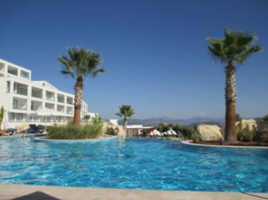 Relaxing by the pool at Horizon Sky