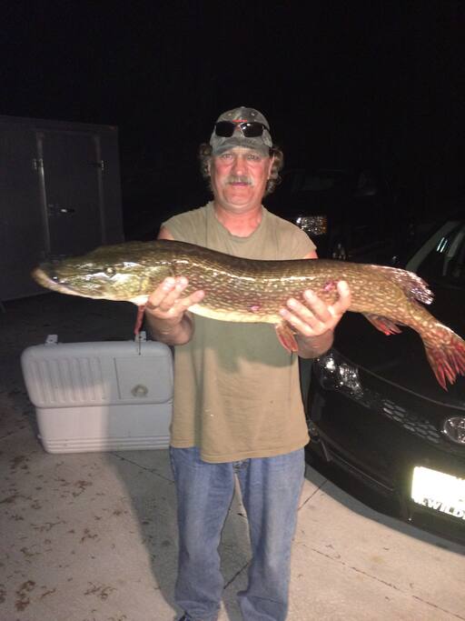 Great fishing! Pan fish, northern and perch