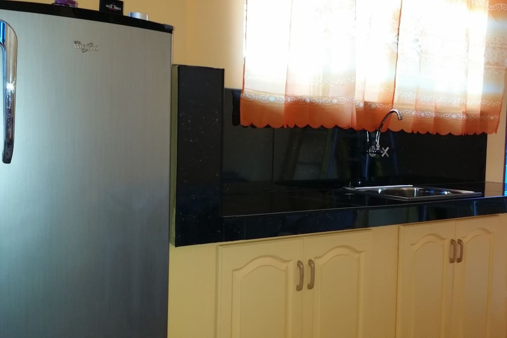 Kitchen with new fridge.
