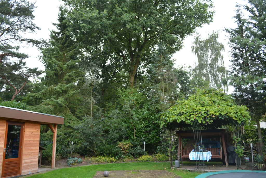 Uitzicht
