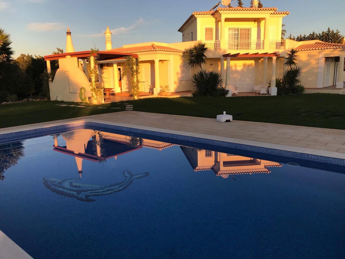 A spacious villa is captured reflecting in the clear water of a private pool. The pool features a decorative dolphin mosaic on its floor. Lush greenery surrounds the villa, enhancing the serene outdoor space.
