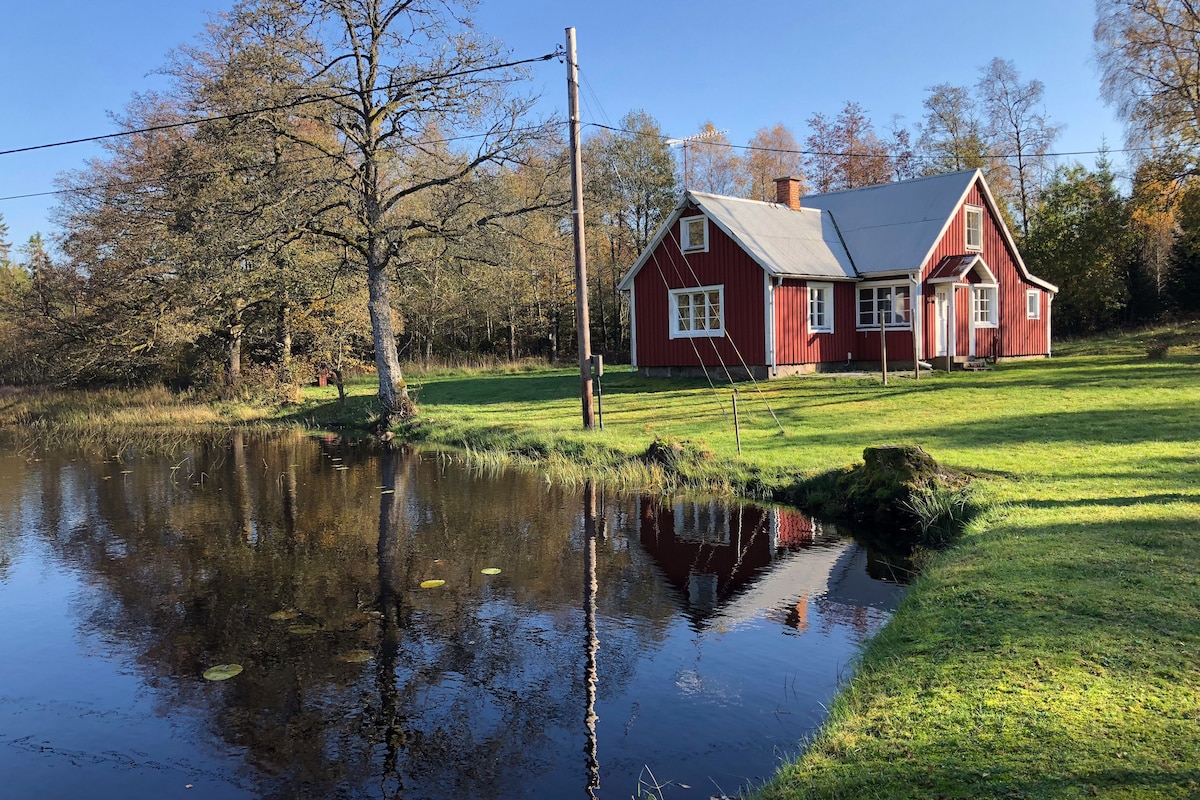 A red, wooden house with a sloped roof stands beside a calm pond, reflecting its image on the water's surface. Surrounding trees provide a natural setting, enhancing the peaceful atmosphere. A power line runs along the edge of the property, connecting to the nearby area.