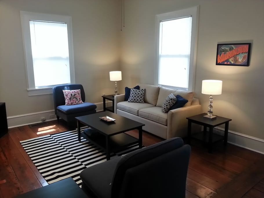 Living Room (queen sofa bed)