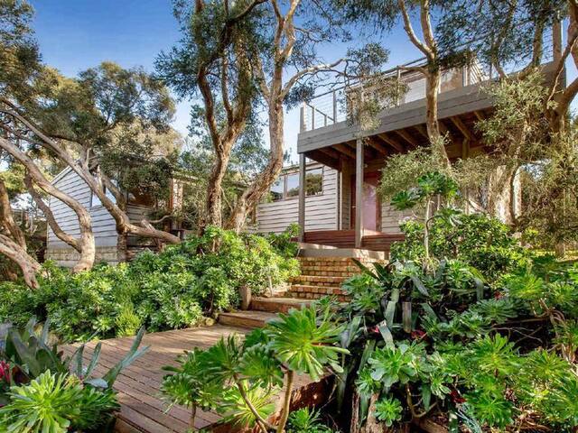 Tranquil treetop retreat – coastal views