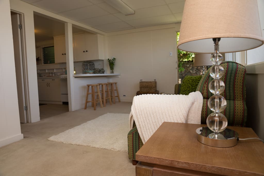 Fully furnished living space.