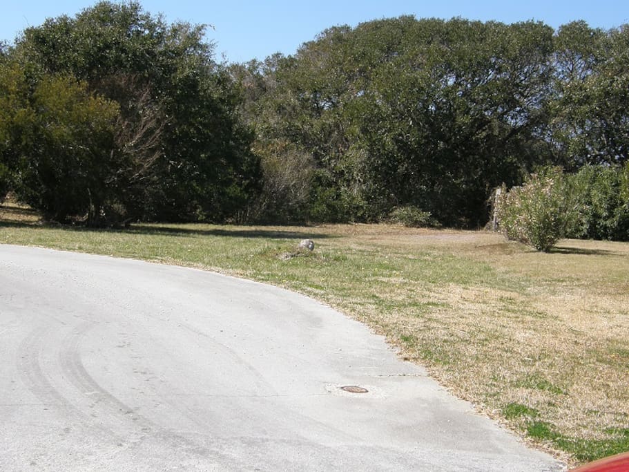 Nice secluded street for privacy