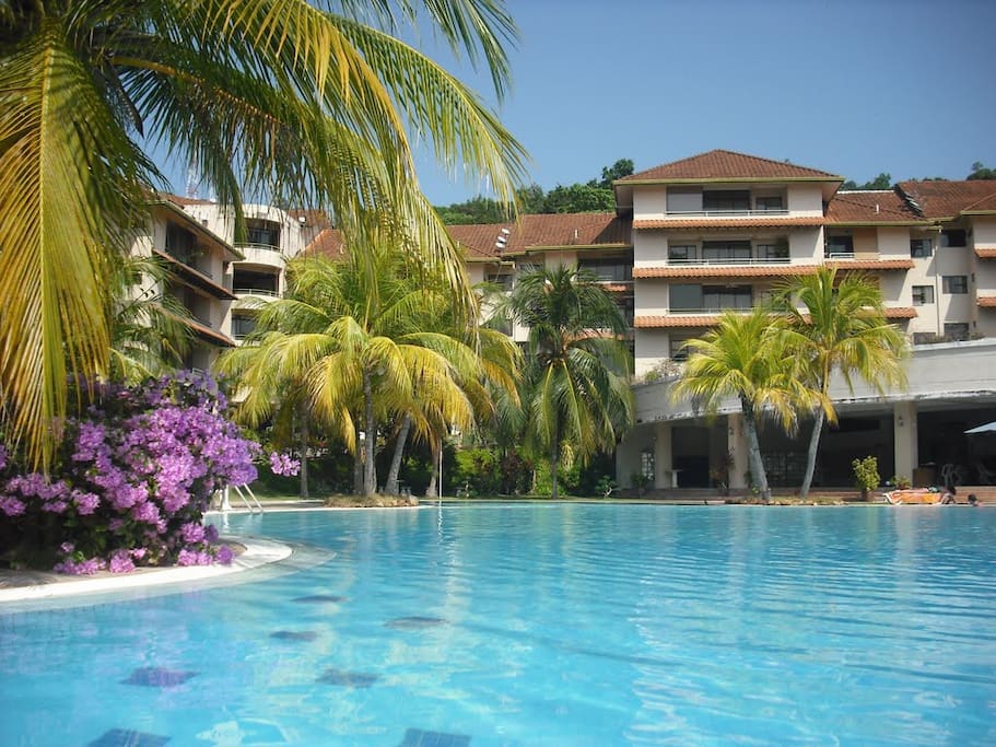 Beautiful Condo Villa