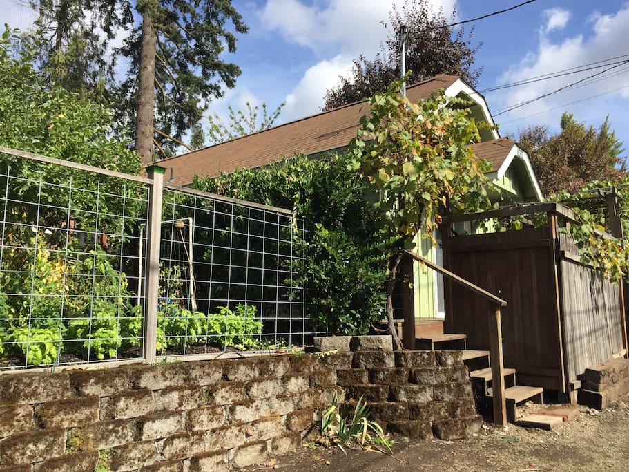 Welcome! Pull up next to the garden and enter under the grape arbor...