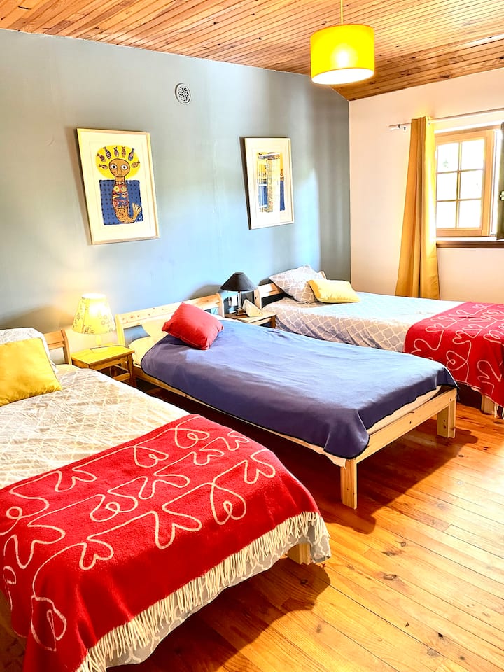 宿舍有3张单人床，非常适合年轻房客