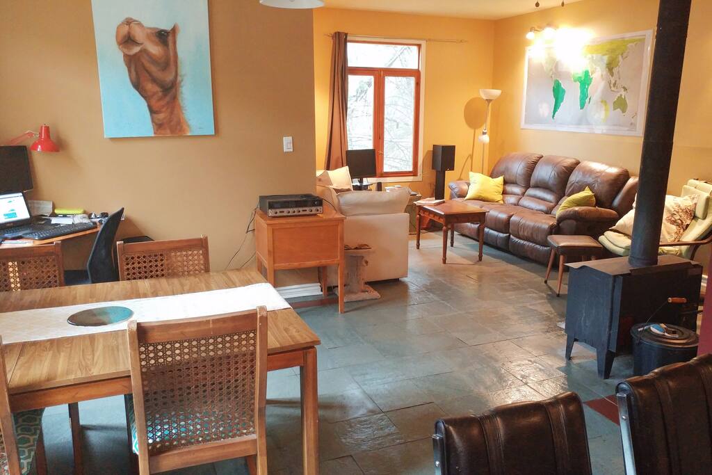 Open plan living room and kitchen