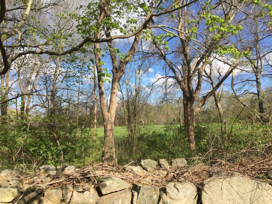 View of the golf course from the back patio. Totally private backyard