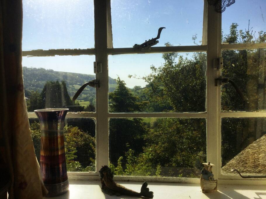 View from your room