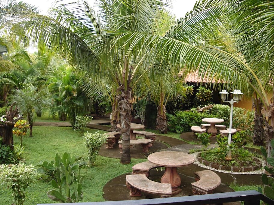 Garden