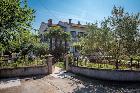 Popular Airbnb listing: Apartman Ana in Bajčići