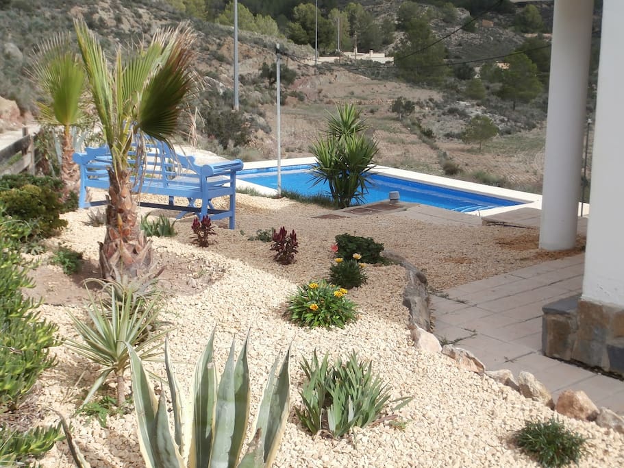 Pool and garden