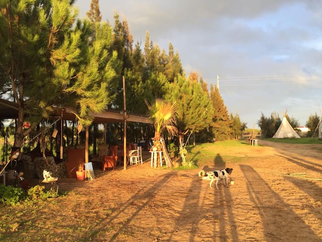 ECO-VILLAGE | Accommodation | Tipis | Bell Tents