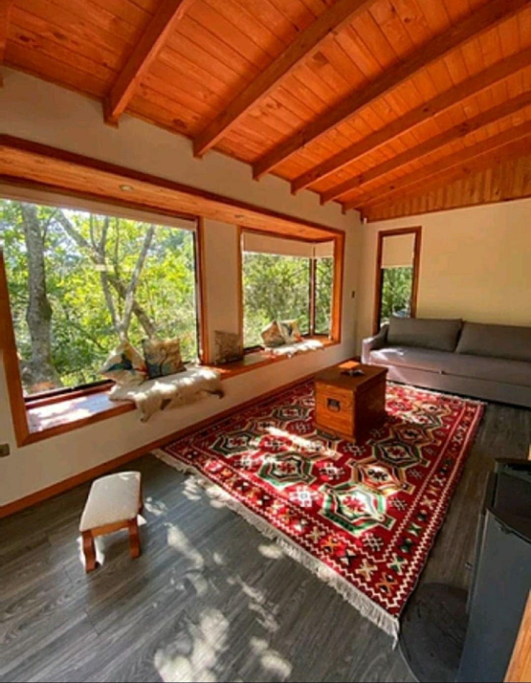 A bright living area is highlighted by large windows that offer views of the surrounding forest. A cozy gray sofa sits adjacent to a small wooden table, while a colorful rug adds warmth to the space. Natural light permeates through the windows, enhancing the tranquil atmosphere.