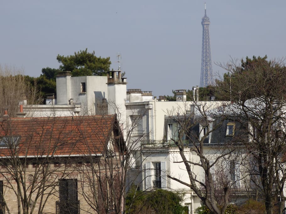 la vue depuis le salon.