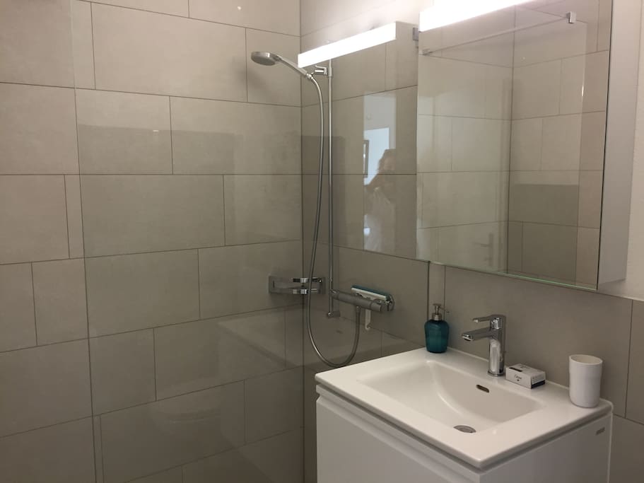 Private bathroom with walk in shower.