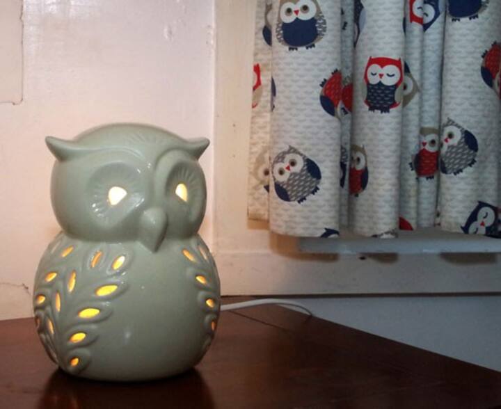 Owl light