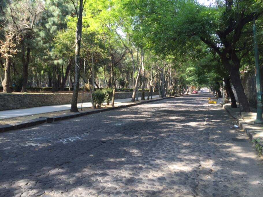 The street where our house is :)