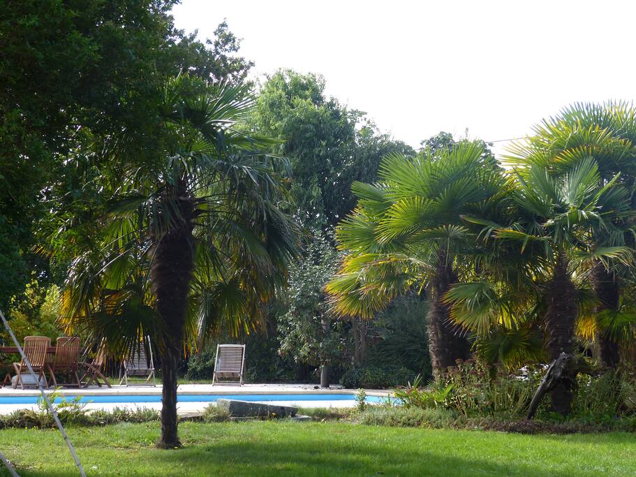 jardin