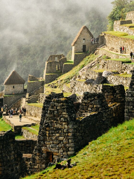 Show full-screen, host-provided image