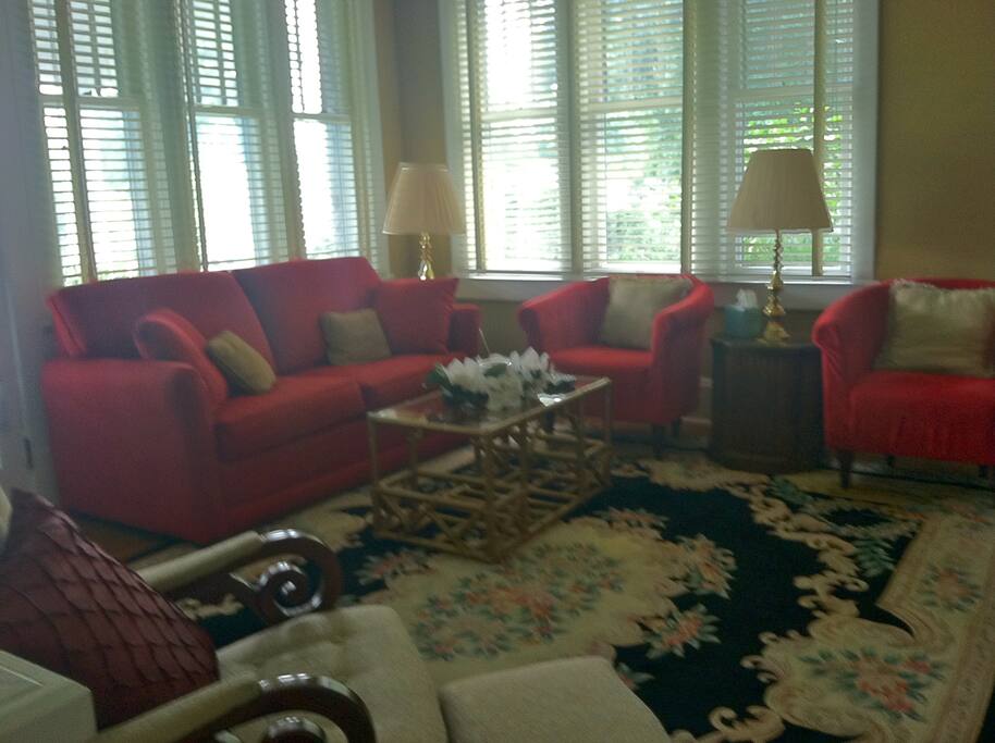 Living, dining area, TV, WIFI, large comfortable area with sofa bed.