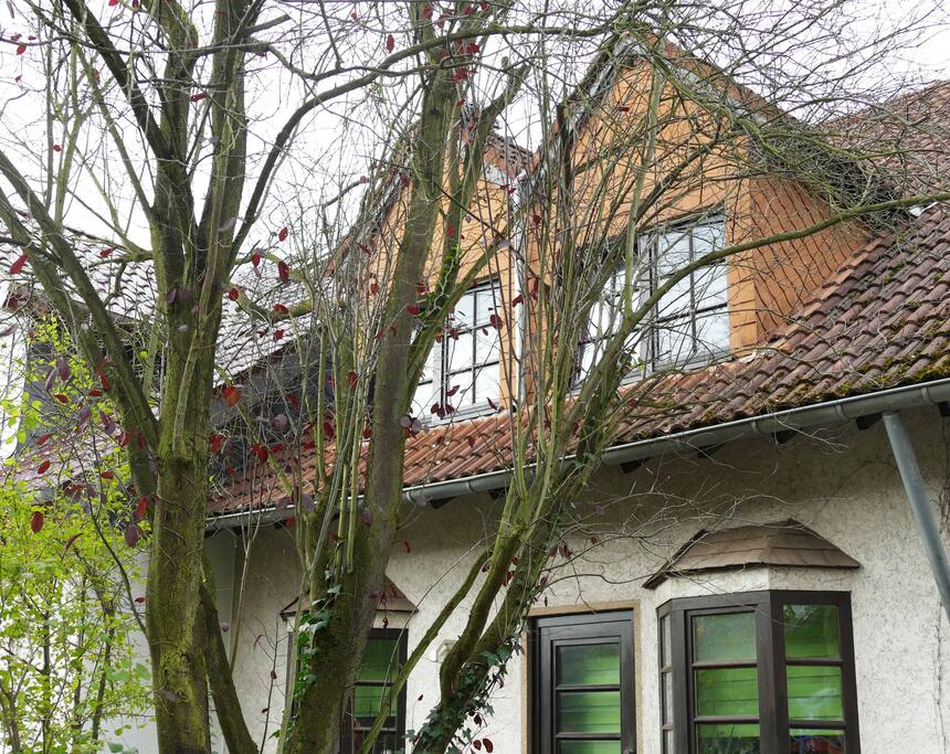 Blick auf die Fensterfront des Apartments