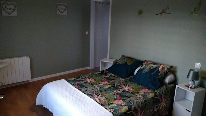 غرفة نوم مع إمكانية الدخول إلى الحمام