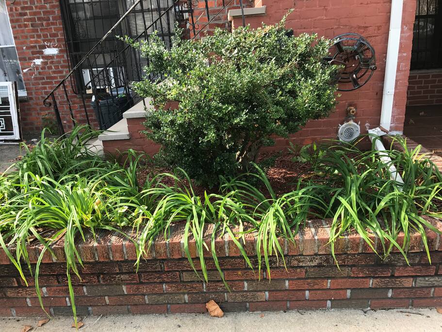 Front of the house