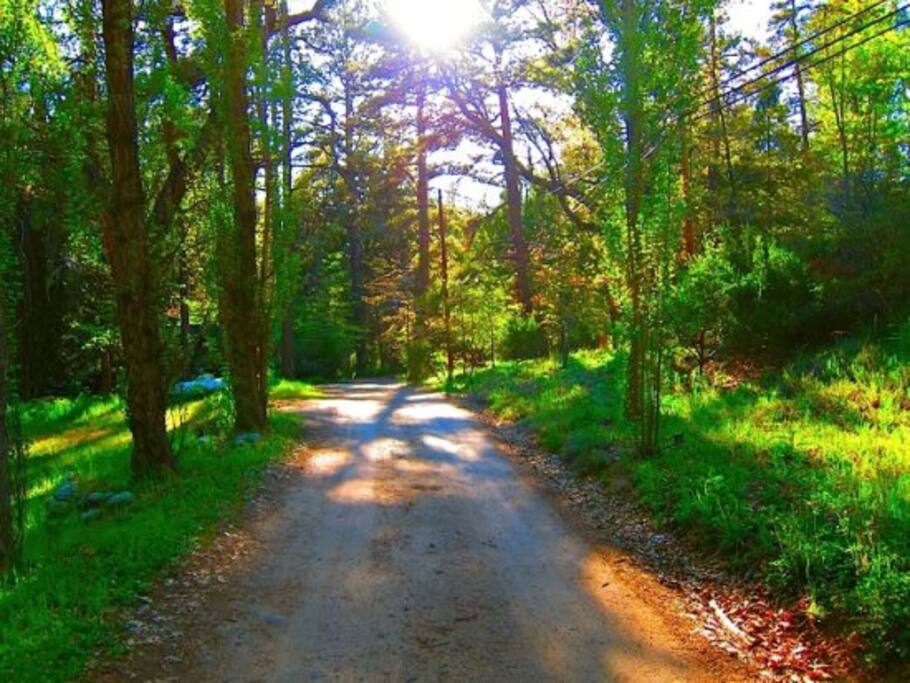 Nestled at the end of a tranquil country lane