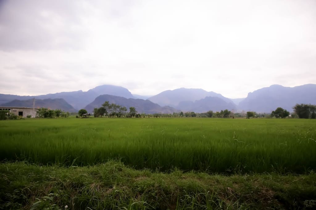 View behind the House towards Myanmar and the Mountains of Doi Tung, and ricefields behind the House