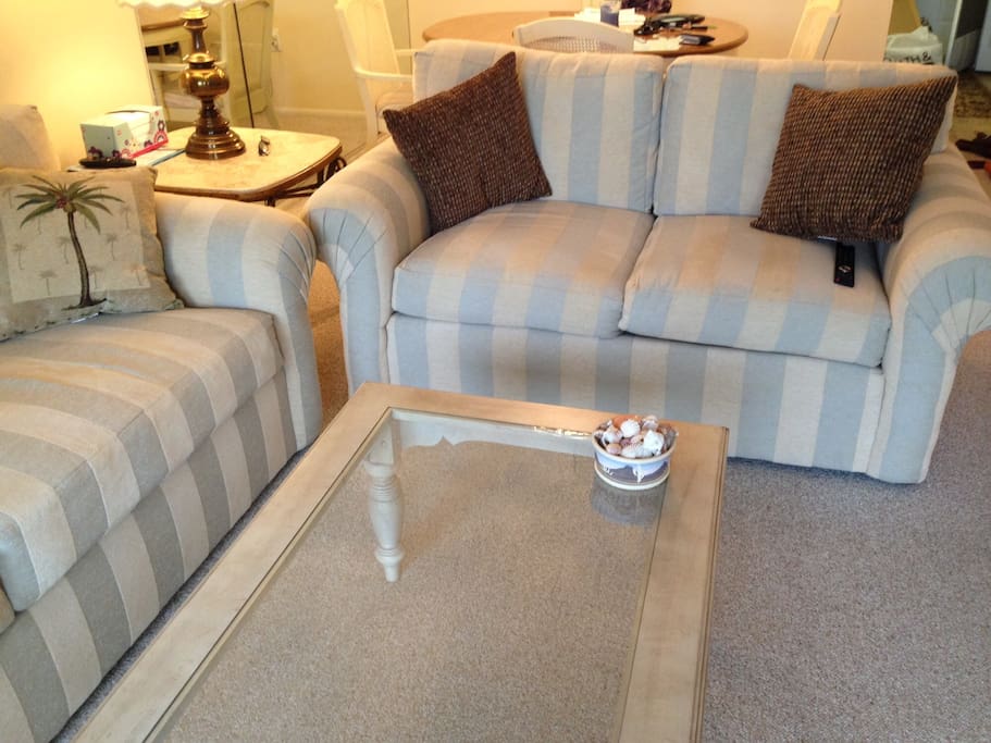 Living room with ceiling fan, pull out queen sofa, 47 in flat screen tv