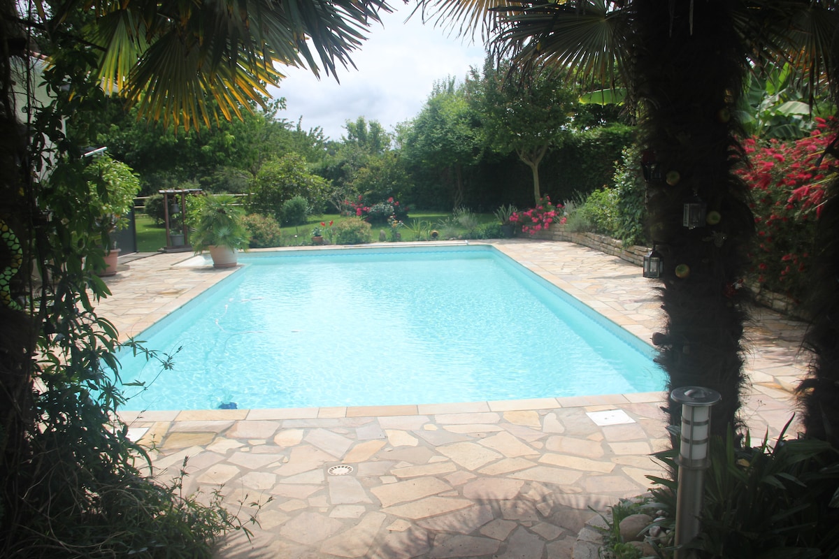A clear swimming pool is surrounded by a stone patio, situated amidst lush greenery and flowering plants. Palm trees and shrubs frame the pool area, offering a sense of privacy and tranquility. The inviting water reflects the sky and neighboring foliage.