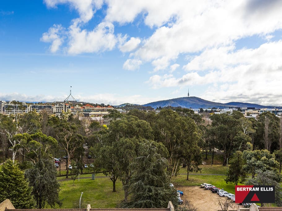 Carrington view